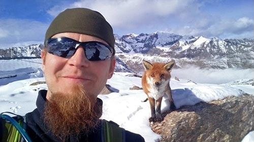 Tuomas Tahko and a fox in Gran Paradiso